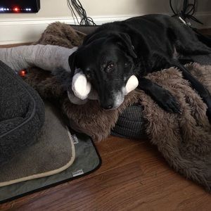 Meet your Posher, Peter